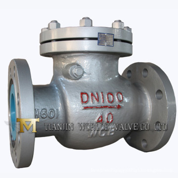 Swing Check Valve (H44H-40)